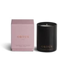 Ortus (Rise) Luxury Candle