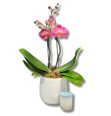 Double Orchid &amp; Candle Gift Set